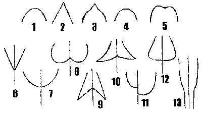 m14.jpg (16317 bytes)