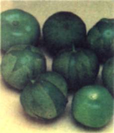 Физалис овощной, сорт Tomatillo (зрелые плоды в чехликах и очищенные)