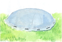 5.УКРЫТИЕ РОЗ