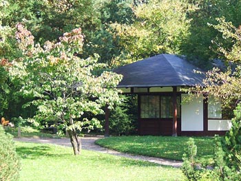 Сакура. Японский сад