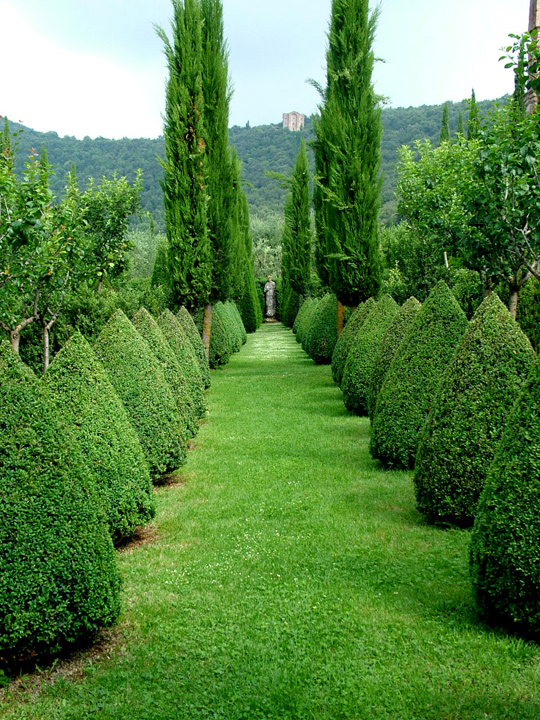 Вилла Четинале (Villa Cetinale)