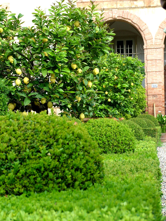 Вилла Четинале (Villa Cetinale)