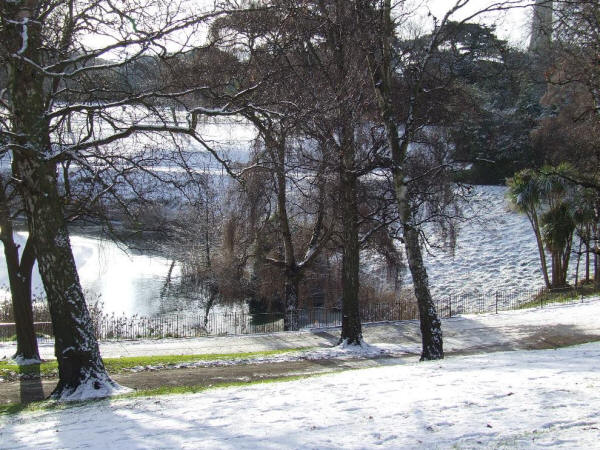 1) В Дублине находится самый большой парк в Европе - Феникс парк (Phoenix Park), по которому свободно гуляют олени.