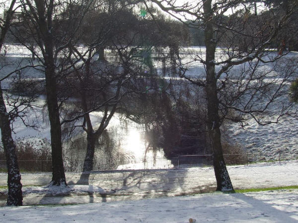 12) Парк Феникс