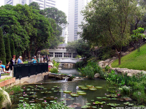Hong Kong Park