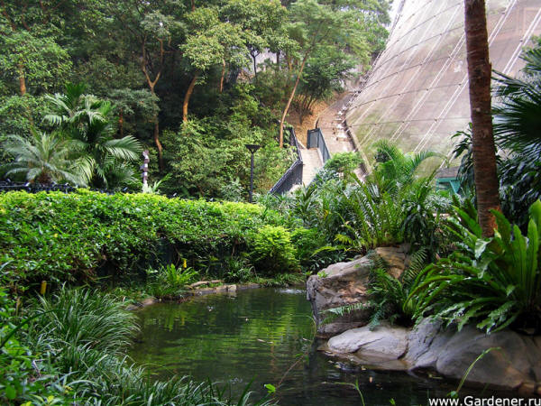 Hong Kong Park
