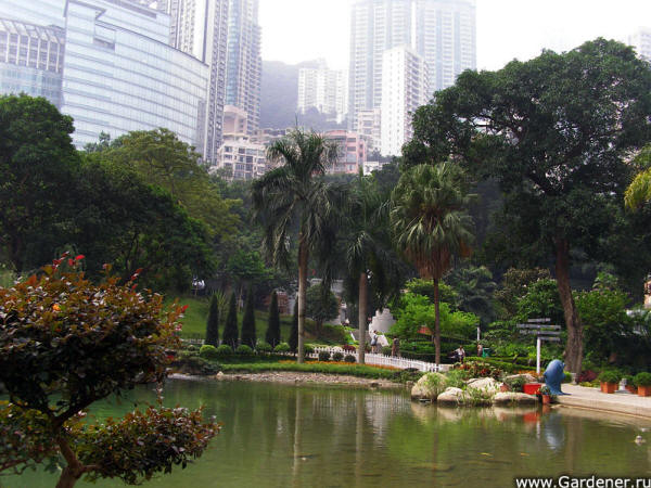 Hong Kong Park