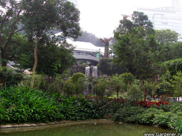 Hong Kong Park