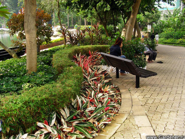 Hong Kong Park
