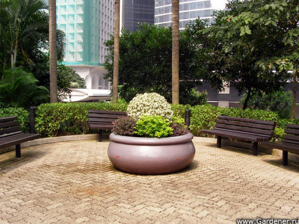 Hong Kong Park