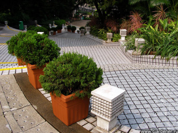 Hong Kong Park