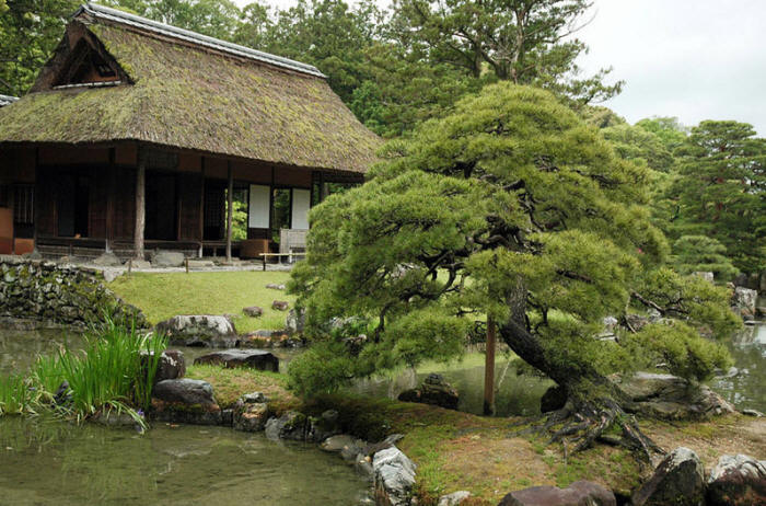 Сад императорской виллы Кацура Рикю в Киото. Katsura Imperial Villa Японский сад. Сад императорской виллы Кацура Рикю в Киото. Katsura Imperial Villa