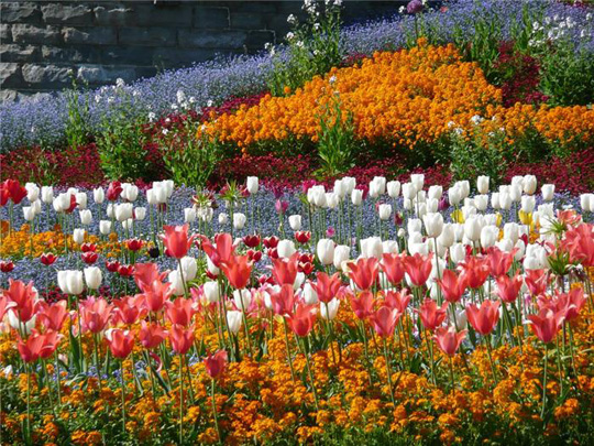 Майнау - сказочный остров (Insel Mainau)
