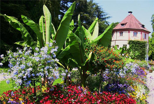 Майнау - сказочный остров (Insel Mainau)
