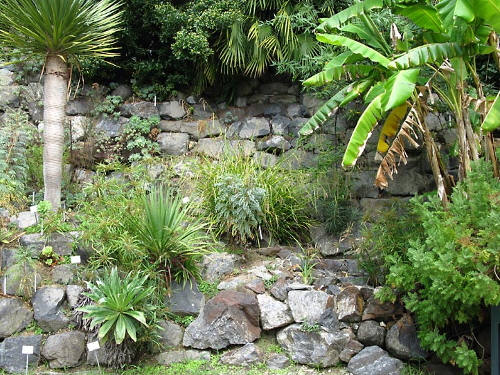 Jardi Botanic MARiMURTRA