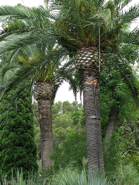Jardi Botanic MARiMURTRA