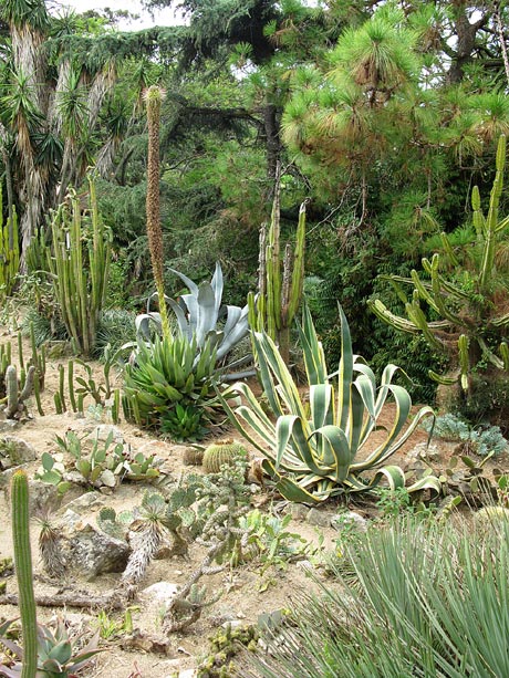 Jardi Botanic MARiMURTRA