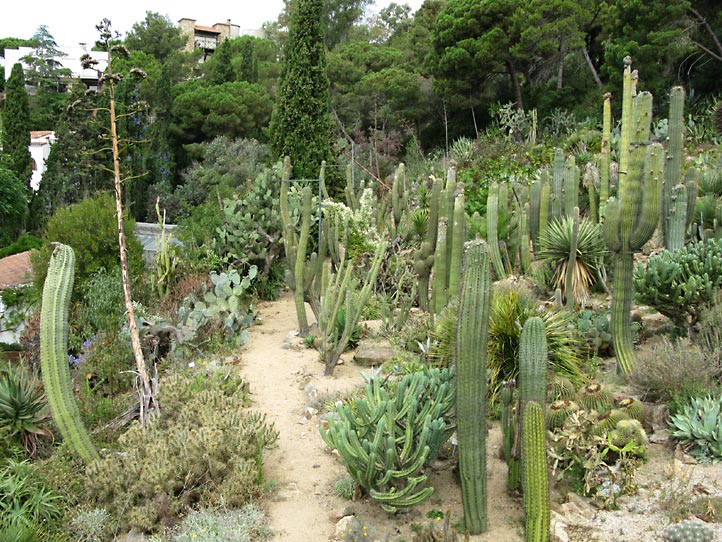 Jardi Botanic MARiMURTRA