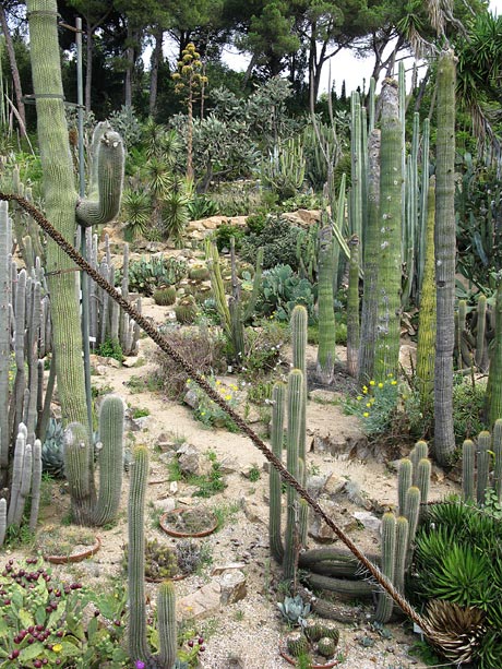 Jardi Botanic MARiMURTRA