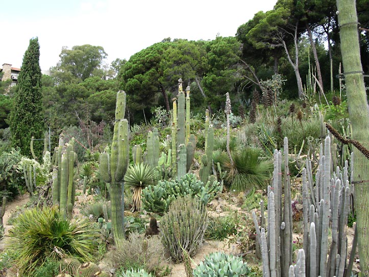 Jardi Botanic MARiMURTRA