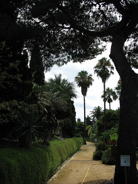 Jardi Botanic MARiMURTRA