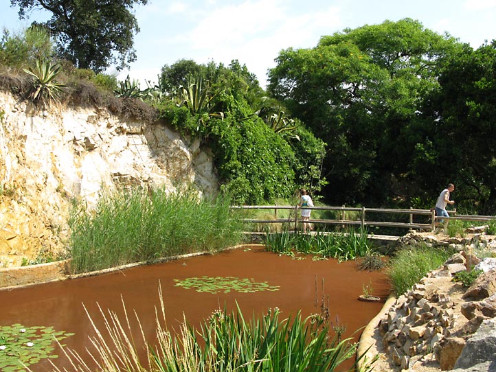 Jardi Botanic MARiMURTRA