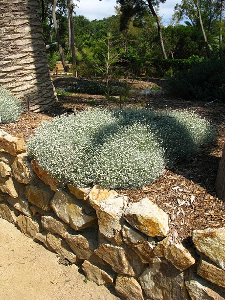 Jardi Botanic MARiMURTRA