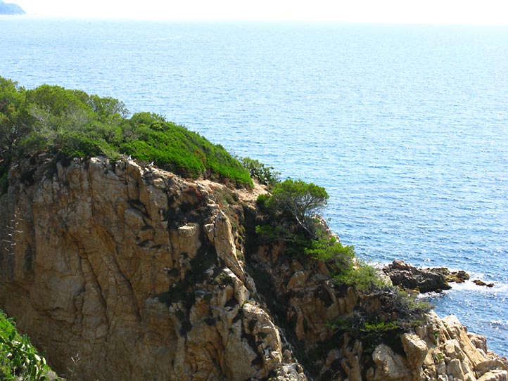 Jardi Botanic MARiMURTRA