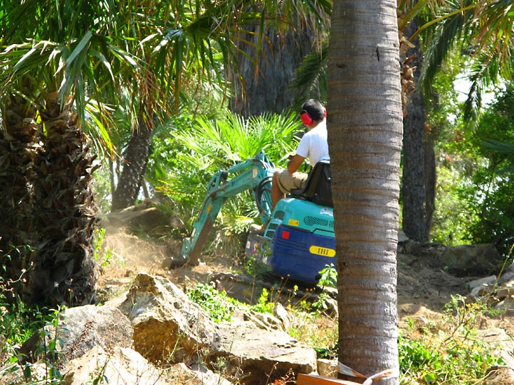 Jardi Botanic MARiMURTRA