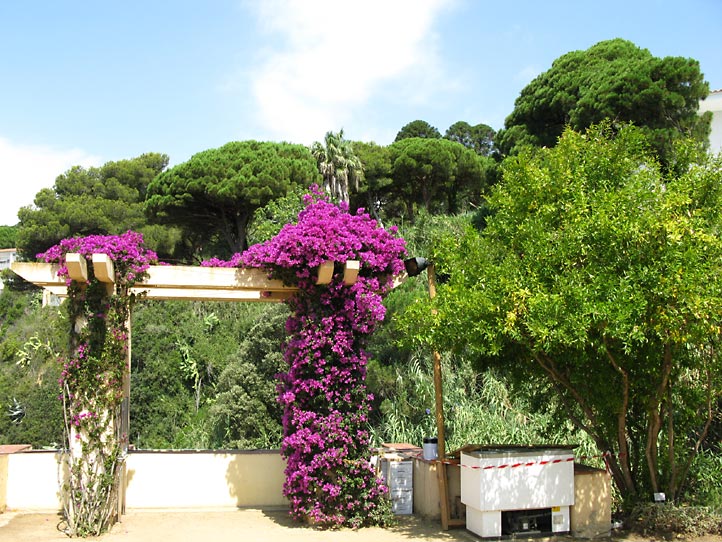 Jardi Botanic MARiMURTRA