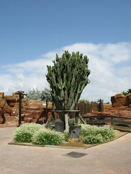 PortAventura Стилизация Дикий Запад