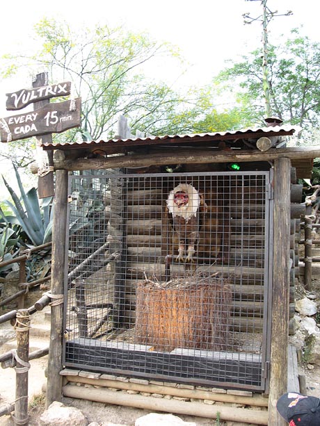 PortAventura Стилизация Дикий Запад