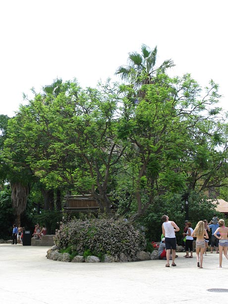 PortAventura Стилизация Мексика