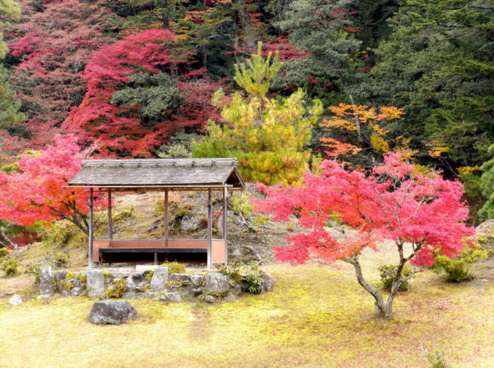 Японский сад. Ансамбль императорской виллы Сюгакуин в Киото. Shugakuin Imperial Villa