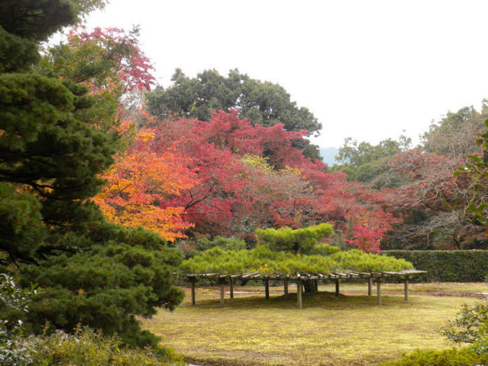 Ансамбль императорской виллы Сюгакуин в Киото. Shugakuin Imperial Villa Японский сад. Ансамбль императорской виллы Сюгакуин в Киото. Shugakuin Imperial Villa