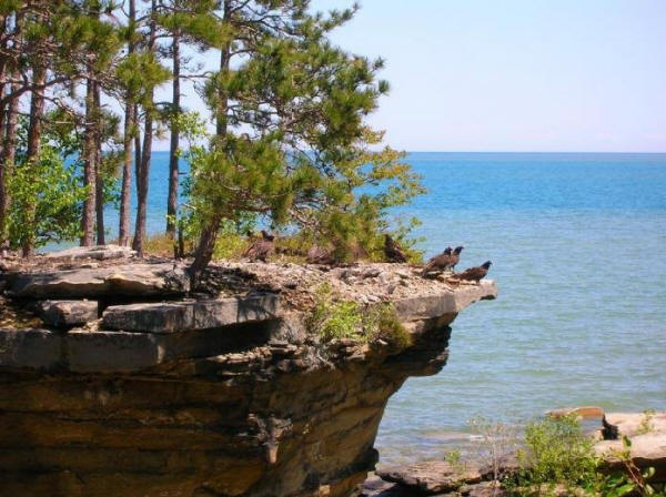 Остров Turnip Rock