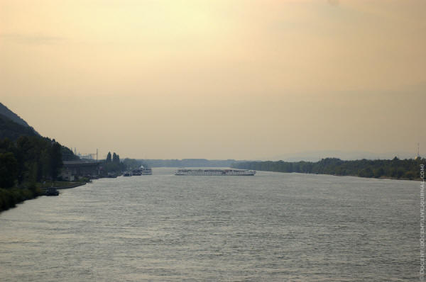Вена