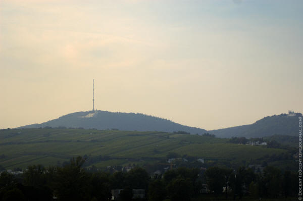 Вена