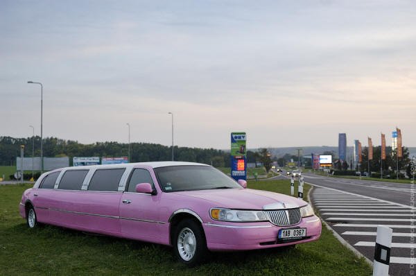 Вена