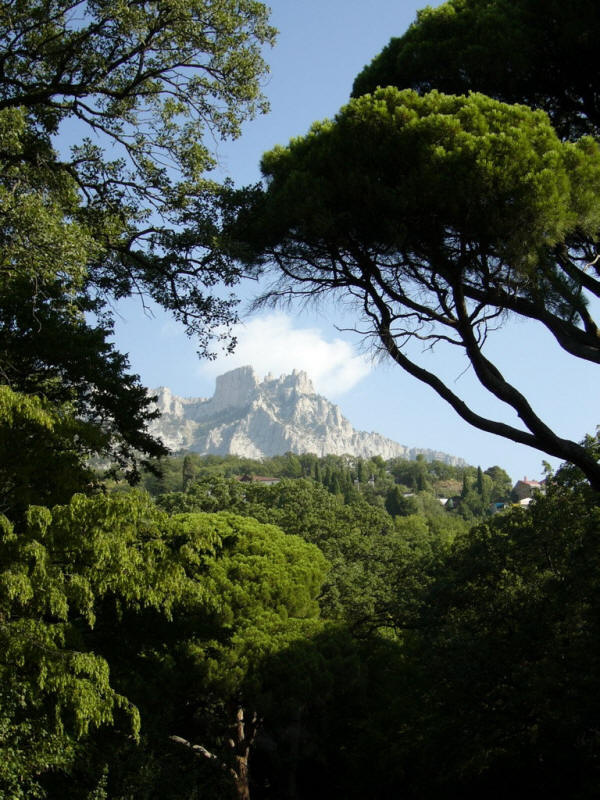 Крымский курорт - Ялта